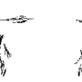 coda4