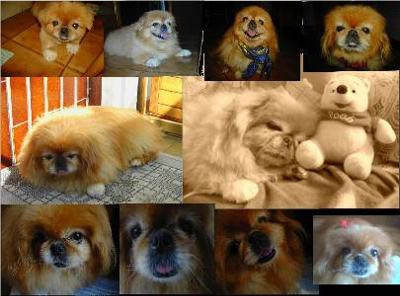 WINNY
