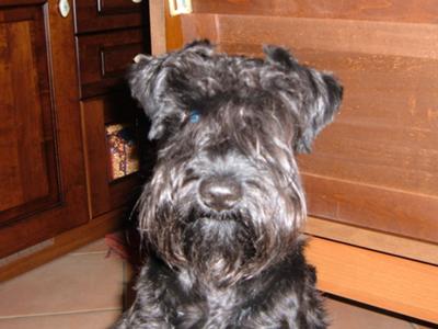 HOLLY(OLIVER)