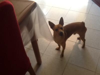 DIEGO